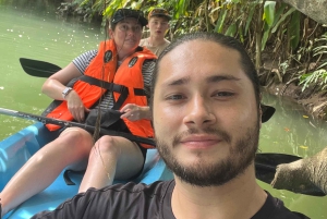 2 tunnin kajakkiretki Queposin mangroveissa – näe apinoita ja laiskia