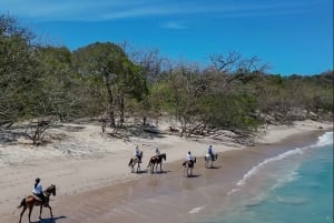 2 timer strandridning på hesteryggen