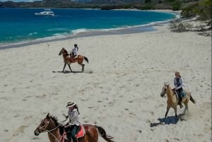 2 timer strandridning på hesteryggen