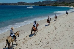 2 timer strandridning på hesteryggen
