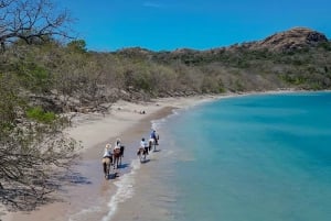 2 timer strandridning på hesteryggen