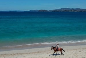 2 timer strandridning på hesteryggen