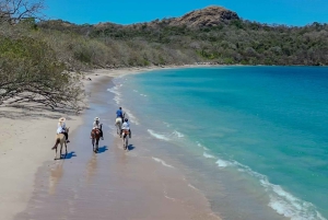 2 Stunden Reiten am Strand