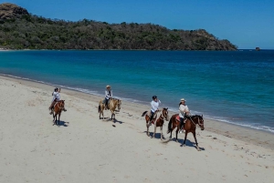 2 Stunden Reiten am Strand