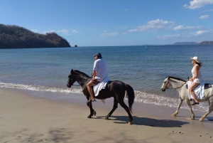 2 Stunden Reiten am Strand