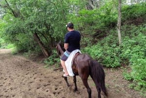 2 Stunden Reiten am Strand