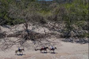 2 Stunden Reiten am Strand
