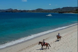 2 Stunden Reiten am Strand