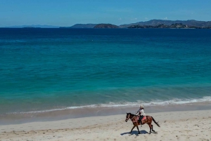 2 Stunden Reiten am Strand