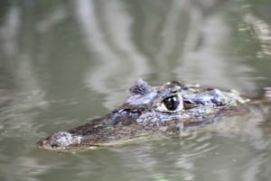 3-hour experience through the channels of the National Park.