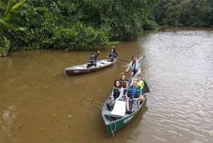 3-hour experience through the channels of the National Park.