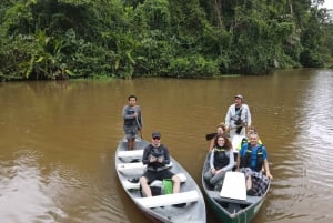 3-hour experience through the channels of the National Park.