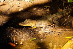 3-hour experience through the channels of the National Park.