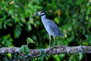 3-hour experience through the channels of the National Park.