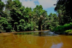 3-hour experience through the channels of the National Park.