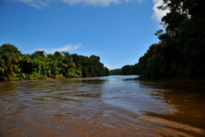 3-hour experience through the channels of the National Park.