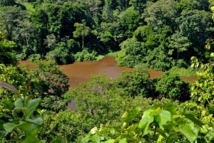 3-hour experience through the channels of the National Park.