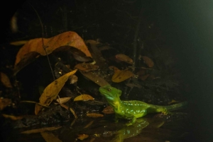 3 uur durende tocht door de kanalen van het Nationaal Park.