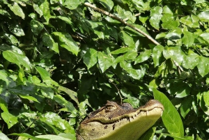 3 uur durende tocht door de kanalen van het Nationaal Park.