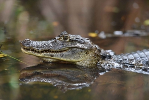 3 uur durende tocht door de kanalen van het Nationaal Park.