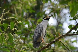 3 uur durende tocht door de kanalen van het Nationaal Park.