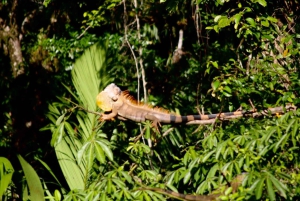 3 uur durende tocht door de kanalen van het Nationaal Park.