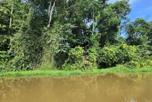 3 uur durende tocht door de kanalen van het Nationaal Park.