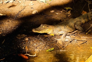 3 uur durende tocht door de kanalen van het Nationaal Park.