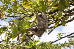3 uur durende tocht door de kanalen van het Nationaal Park.