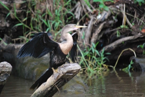 3 uur durende tocht door de kanalen van het Nationaal Park.