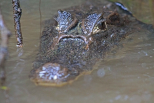 3 uur durende tocht door de kanalen van het Nationaal Park.