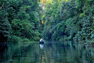3 uur durende tocht door de kanalen van het Nationaal Park.