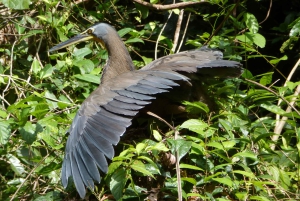 3 uur durende tocht door de kanalen van het Nationaal Park.