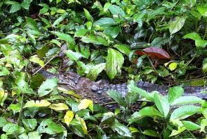 3 uur durende tocht door de kanalen van het Nationaal Park.
