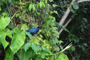 3 uur durende tocht door de kanalen van het Nationaal Park.