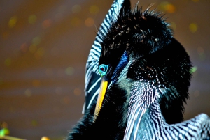 3 uur durende tocht door de kanalen van het Nationaal Park.