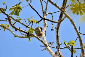3 uur durende tocht door de kanalen van het Nationaal Park.