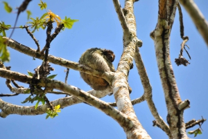 3 uur durende tocht door de kanalen van het Nationaal Park.