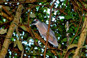 3 uur durende tocht door de kanalen van het Nationaal Park.
