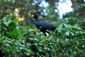 3 uur durende tocht door de kanalen van het Nationaal Park.