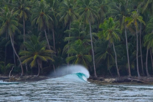 3 heures de surf à Uvita - Parc national Marino Ballena