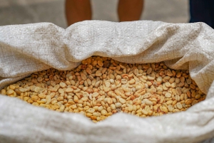 3 w 1: kawa, czekolada i trzcina cukrowa