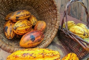 3 in 1 コーヒー、チョコレート、サトウキビをご用意しております