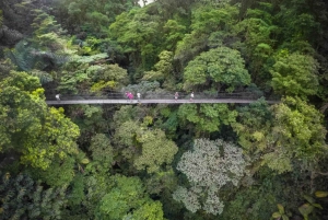 4-in-1 Arenal Volcano Hike, Bridges, Waterfall & Hot Springs
