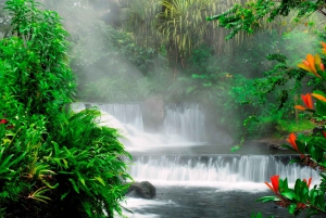 Caminata 4 en 1 por el Volcán Arenal, puentes, cascada y aguas termales