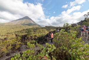 Randonnée 4-en-1 sur le volcan Arenal, ponts, chutes d'eau et sources thermales