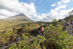 4-in-1 Arenal-vulkaanwandeling, bruggen, waterval en warmwaterbronnen