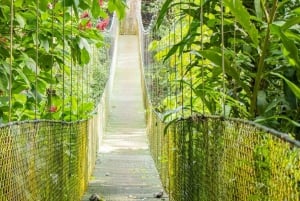 5 Tours in 1 – The Ultimate Volcano Adventure!