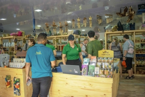 Passeio 6 em 1: Parque Nacional Cahuita, Canais Tortuguero e muito mais