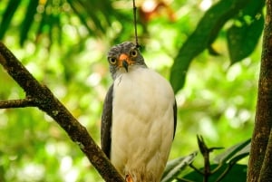 Pass giornaliero 6 in 1 per il tour Braulio Carrillo